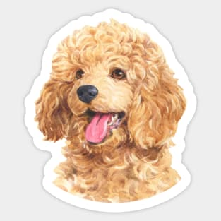 Apricot Toy Poodle Watercolor Art Sticker